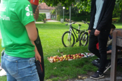 IMG-20190526-WA0008