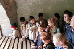 IMG_20241027_152917