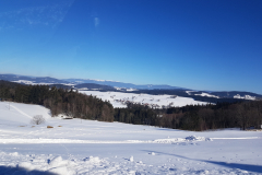20190217_102514
