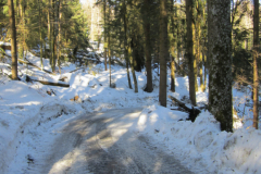 IMG_6686